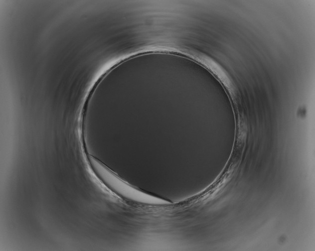 X0000100340958200806121147