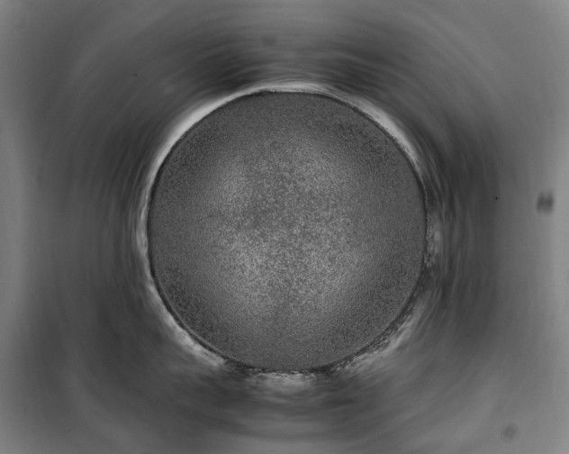 X0000100340959200806121147