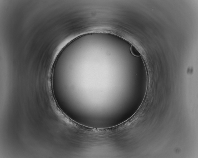 X0000100340960200806121147