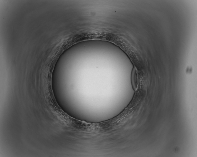 X0000100340961200806121147