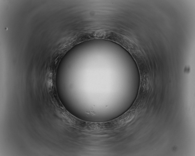 X0000100340962200806121147