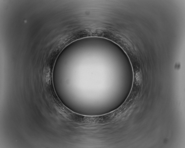 X0000100340963200806121147