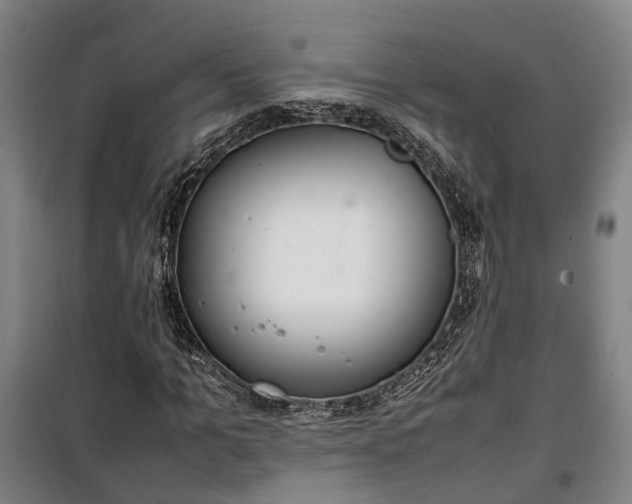 X0000100340965200806121147