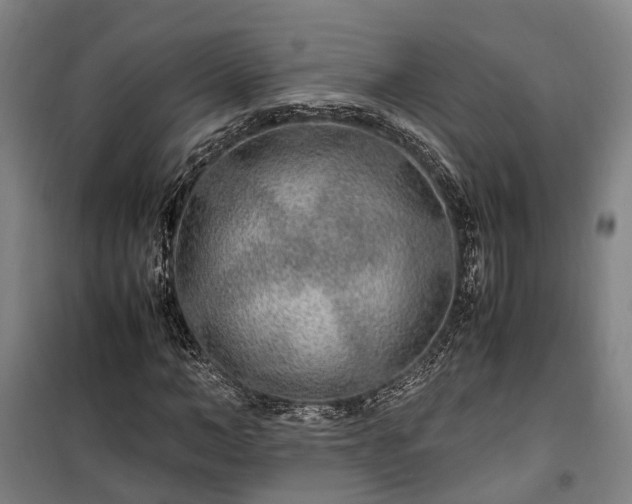 X0000100340966200806121147