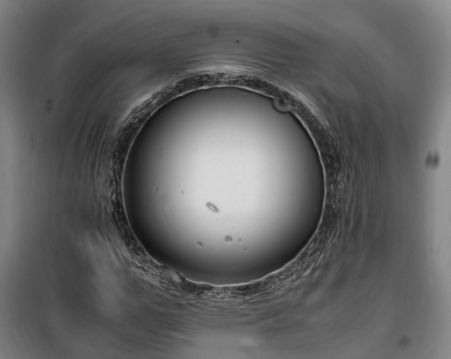 X0000100340967200806121147