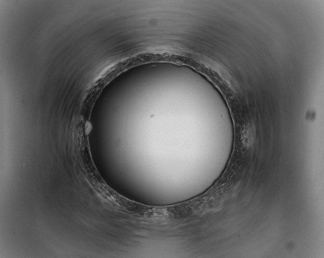 X0000100340968200806121147