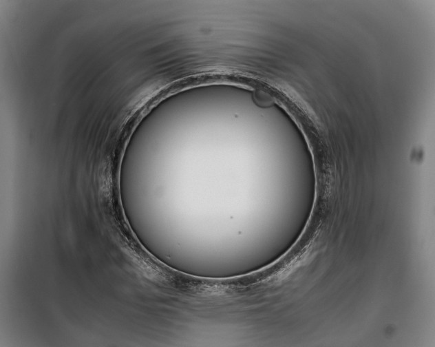 X0000100340969200806121147