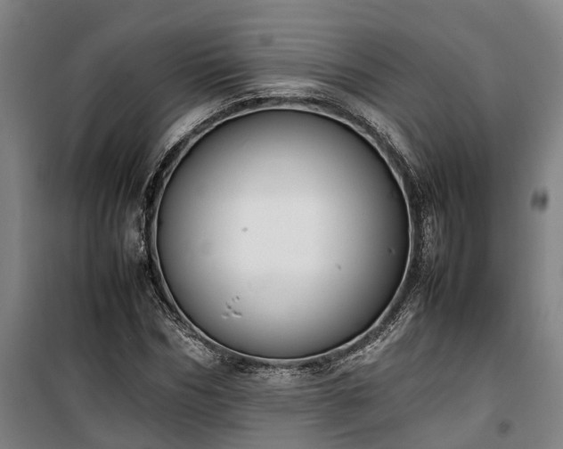 X0000100340970200806121146