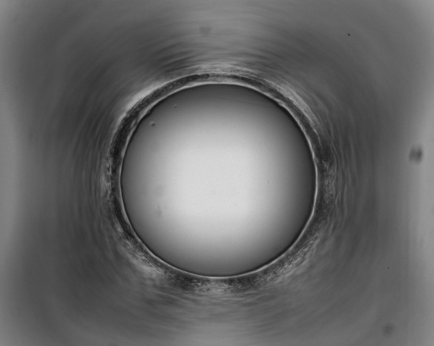 X0000100340971200806121146