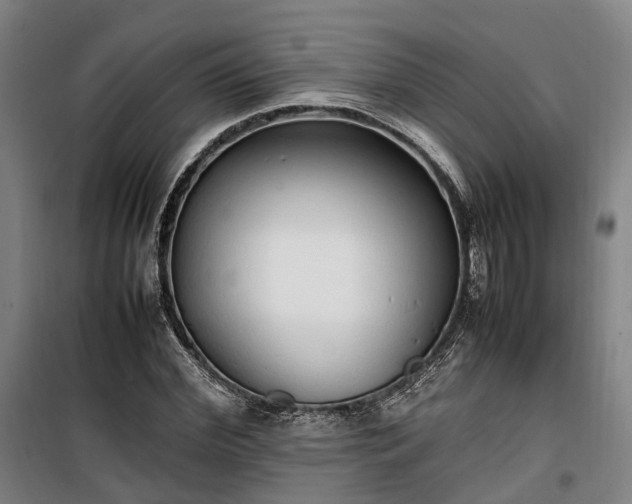 X0000100340972200806121146