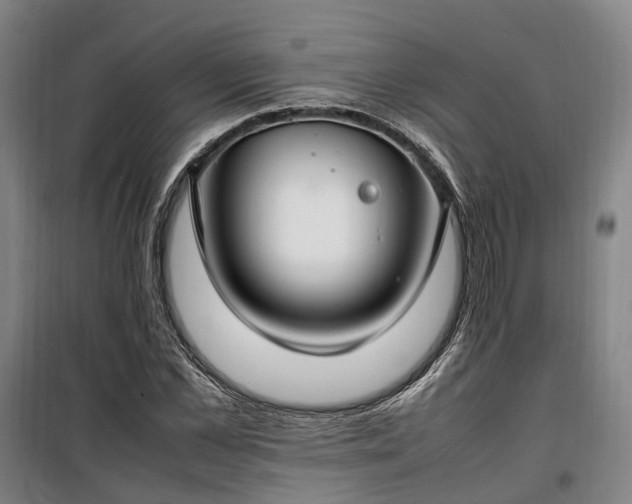 X0000100340973200806121146