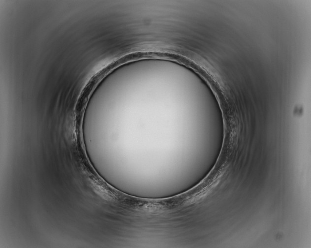 X0000100340974200806121146