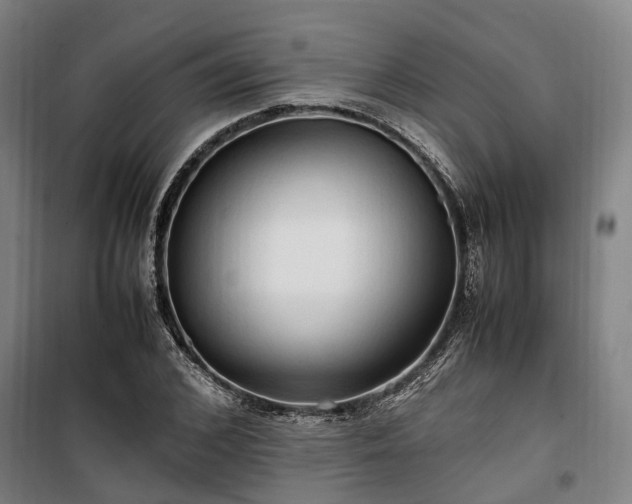 X0000100340976200806121146