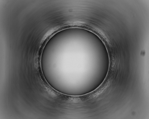 X0000100340978200806121146