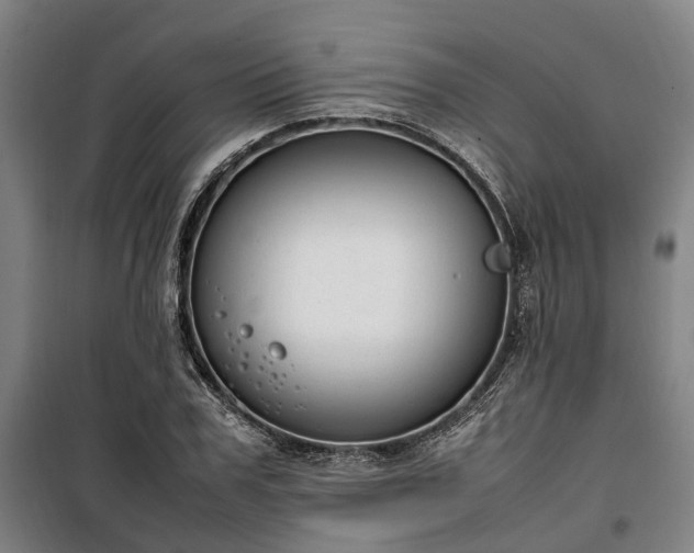 X0000100340979200806121146