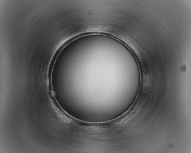 X0000100340980200806121146