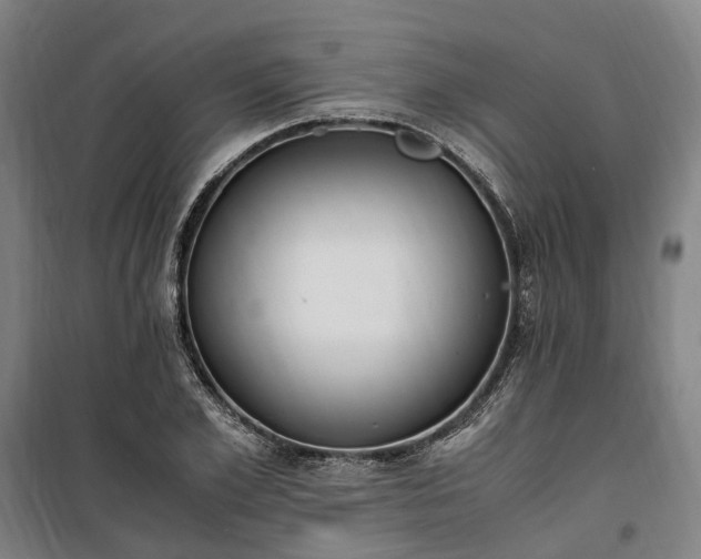 X0000100340981200806121146