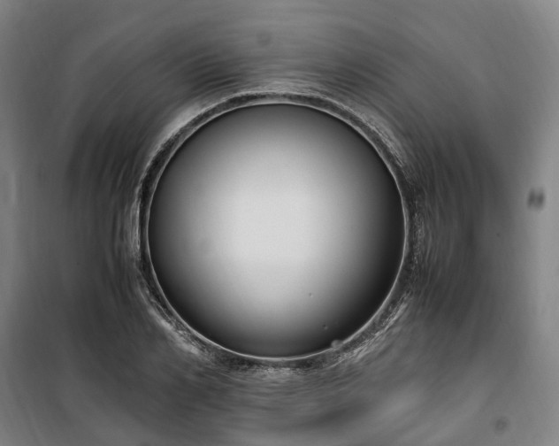 X0000100340982200806121146