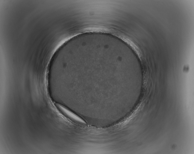 X0000100340983200806121146