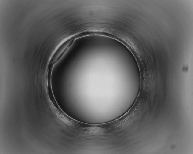 X0000100340984200806121146