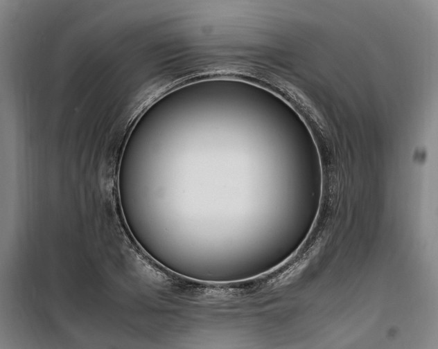 X0000100340985200806121146