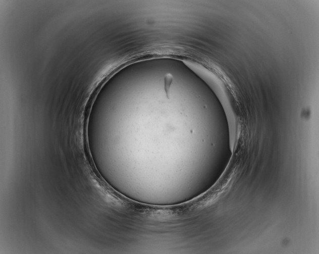 X0000100340986200806121146