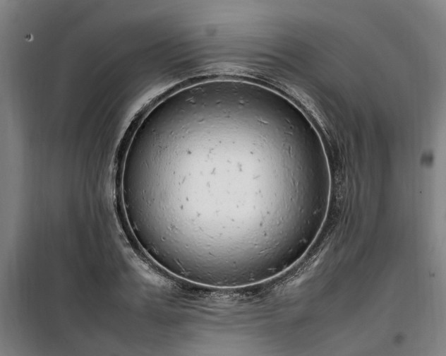 X0000100340987200806121146