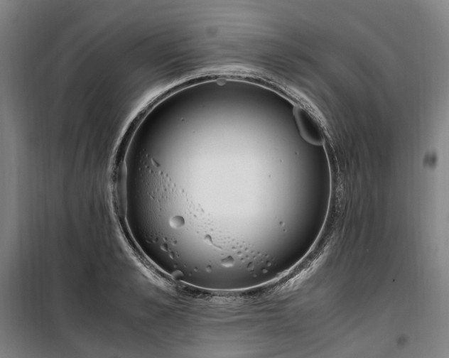 X0000100340989200806121146