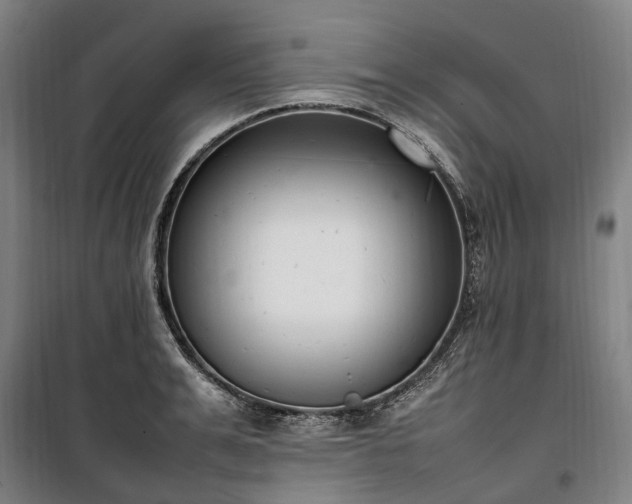 X0000100340991200806121146