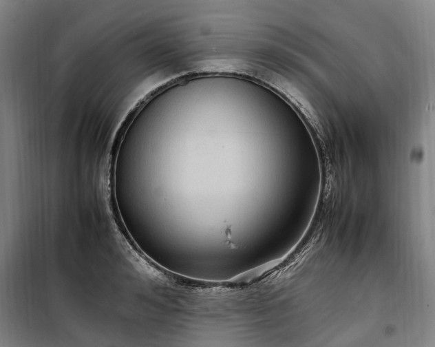 X0000100340992200806121146