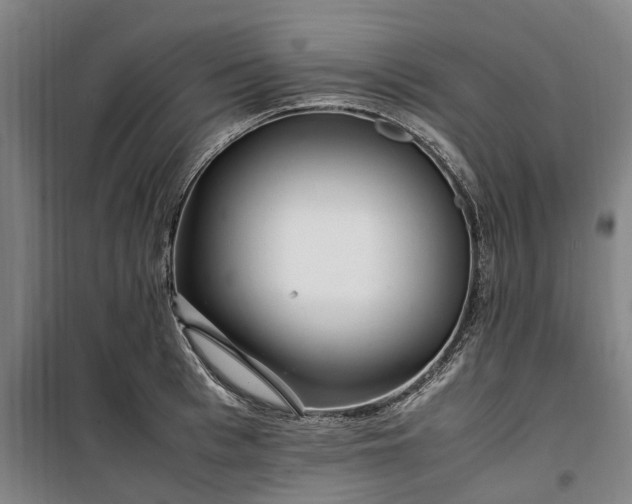 X0000100340993200806121146