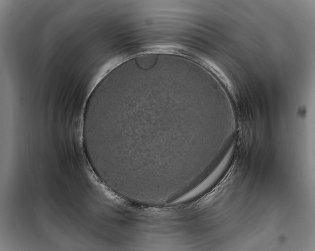 X0000100340994200806121146