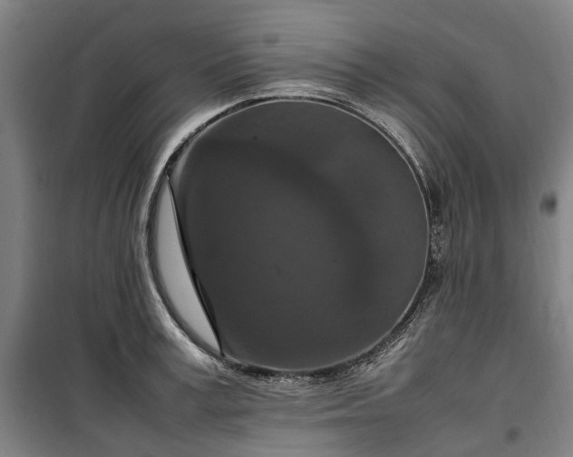 X0000100340995200806121146