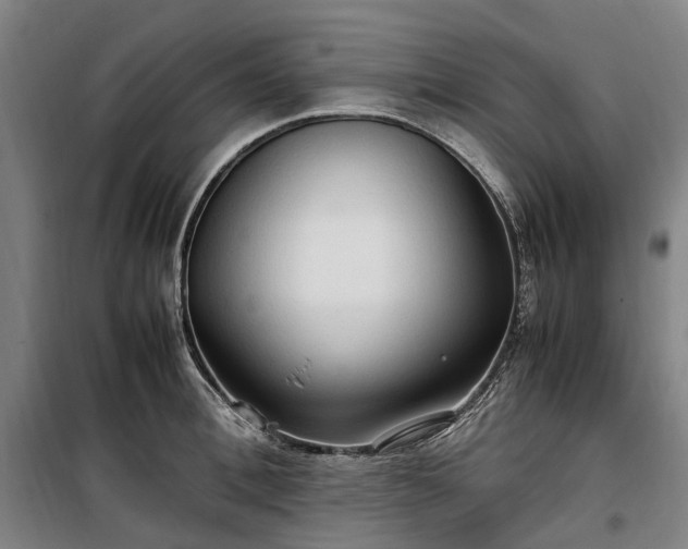 X0000100340996200806121146