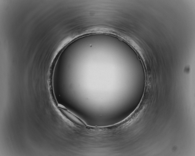 X0000100340997200806121146