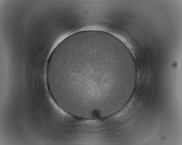 X0000100340998200806121146