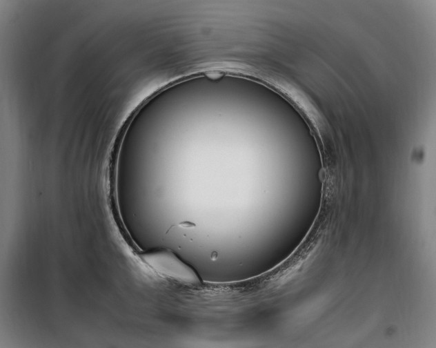 X0000100340999200806121146