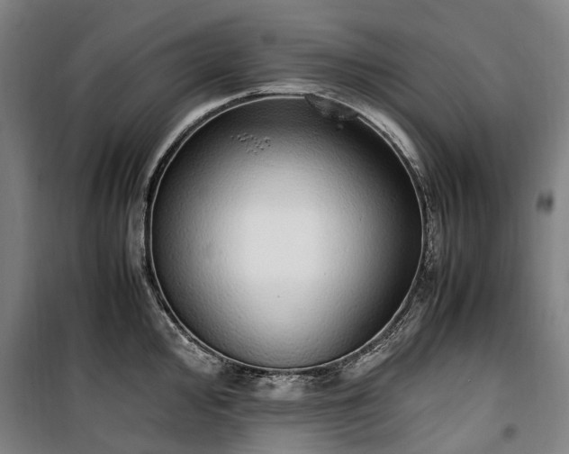 X0000100341000200806121146