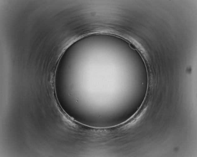 X0000100341001200806121146