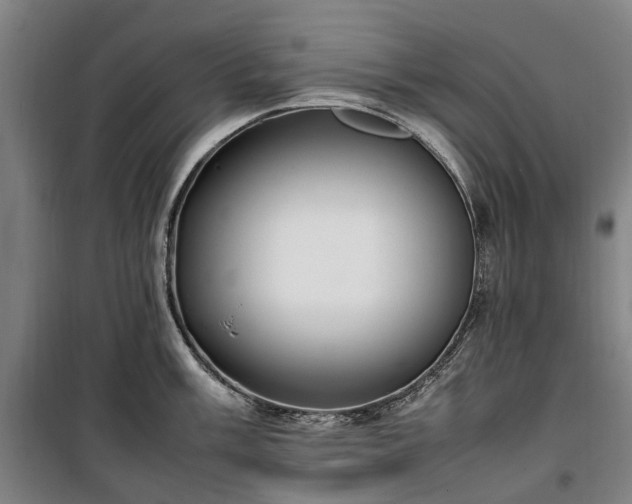 X0000100341003200806121146