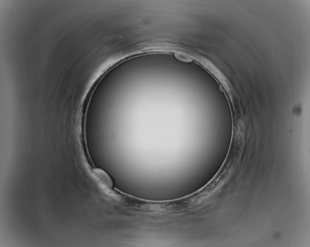 X0000100341005200806121146