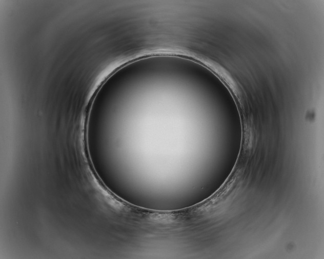 X0000100341006200806121146