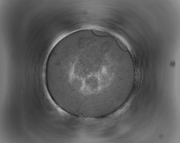 X0000100341007200806121146