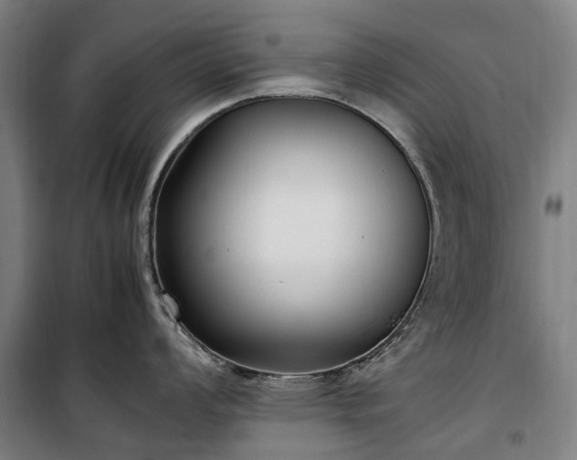 X0000100341008200806121146