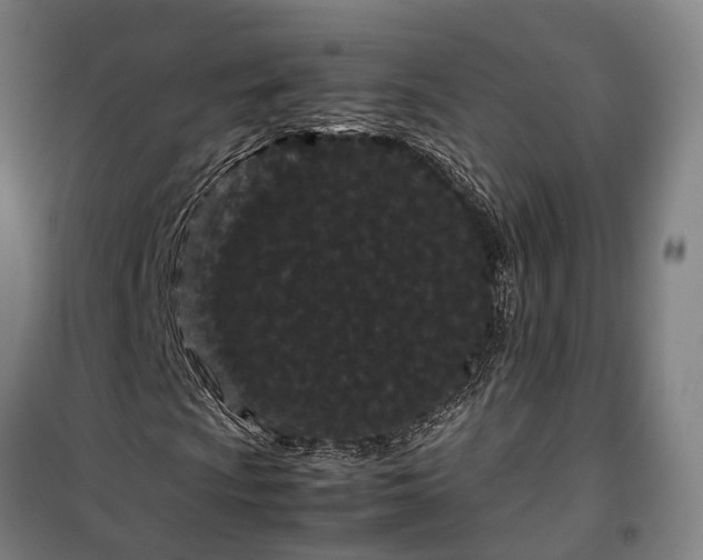 X0000100341009200806121145