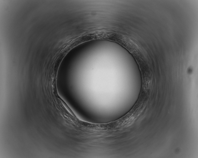 X0000100341010200806121145