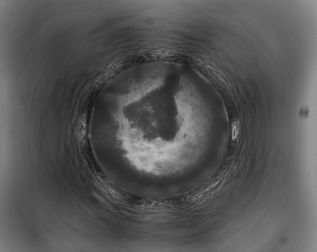 X0000100341011200806121145