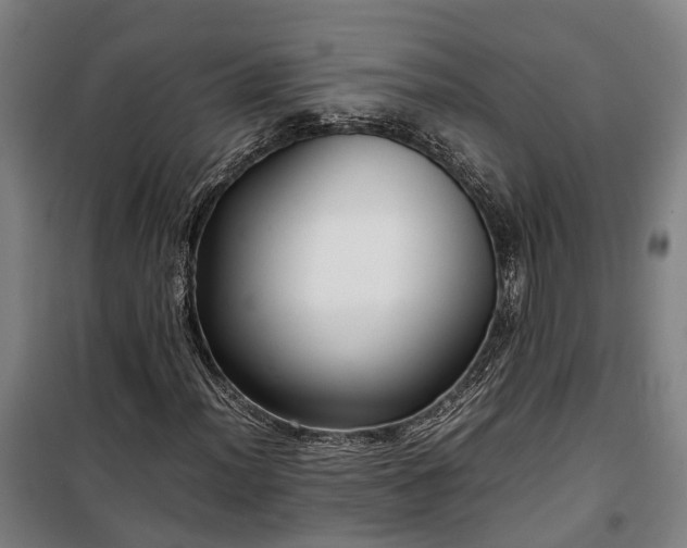 X0000100341012200806121145