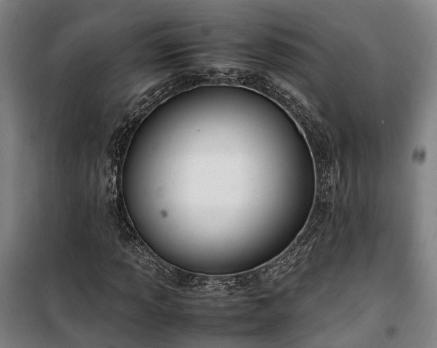 X0000100341013200806121145