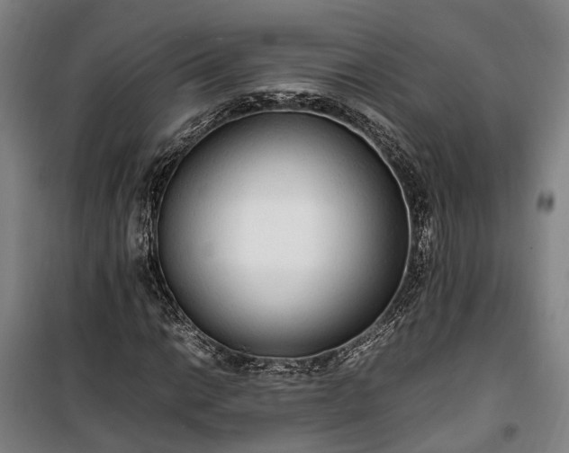 X0000100341014200806121145